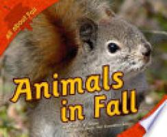 Cover image for Animals in Fall