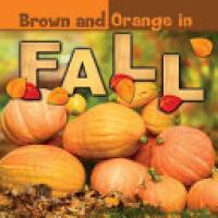 Cover image for Brown and Orange in Fall