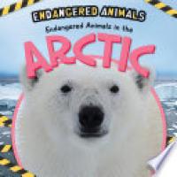 Cover image for Endangered Animals in the Arctic