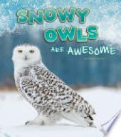 Cover image for Snowy Owls Are Awesome