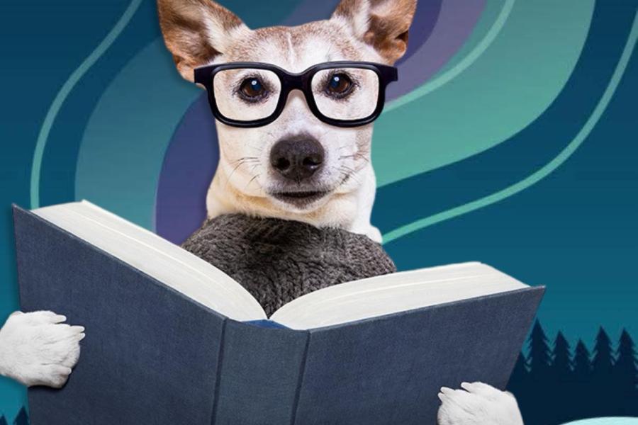 Dog reading